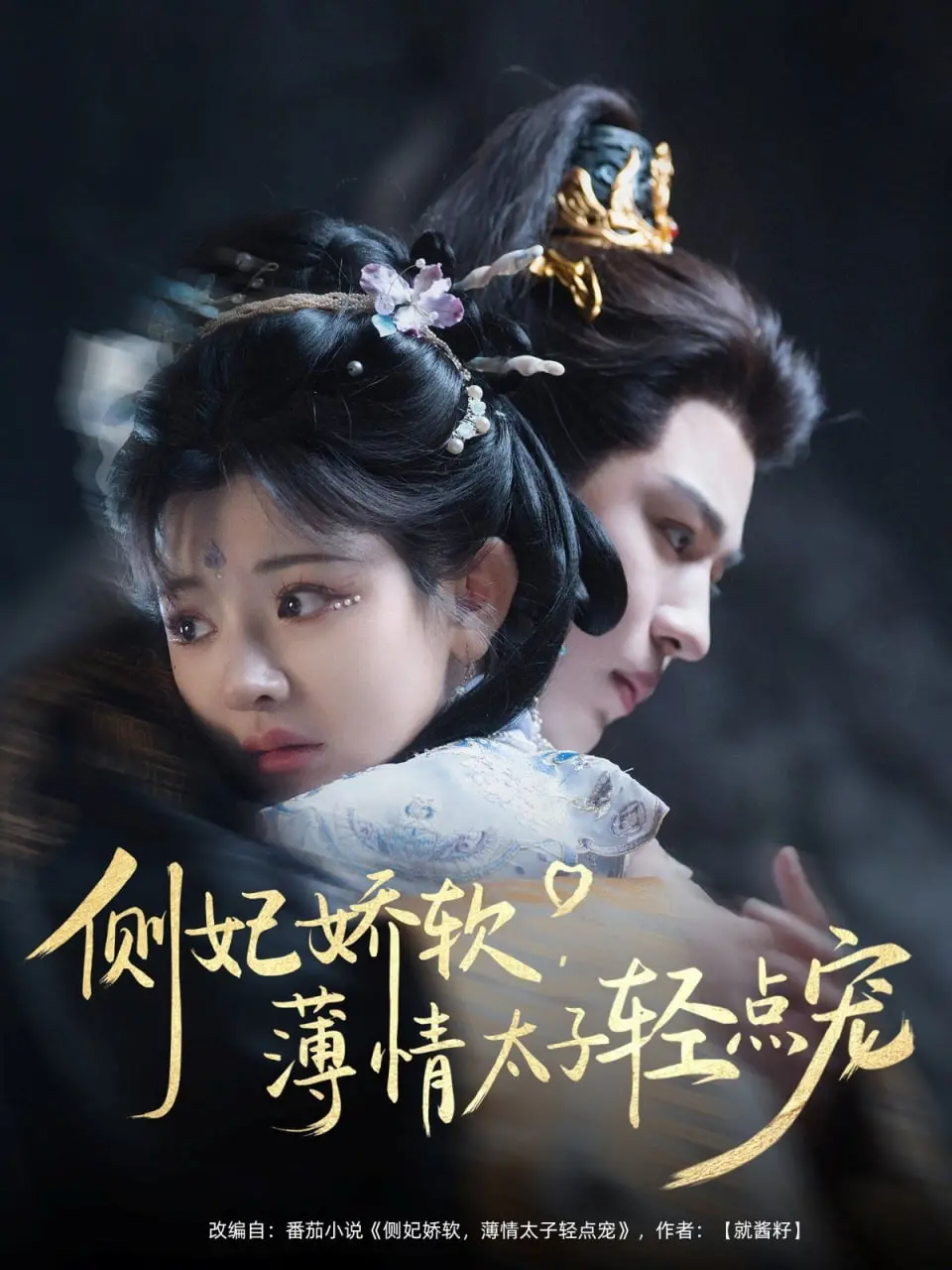 《侧妃娇软薄情太子轻点宠》：甜宠升级！看腹黑太子如何被娇软侧妃拿捏，糖分超标预警！