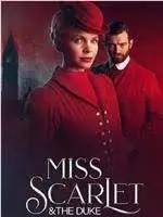 《天堂岛疑云 第十三季》：阳光下的罪恶，加勒比海的烧脑推理盛宴！