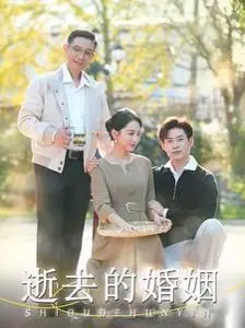 逝去的婚姻 海报