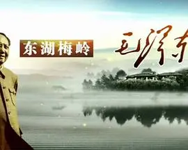 《东湖梅岭毛泽东》：伟人视角下的时代洪流，一部荡气回肠的史诗